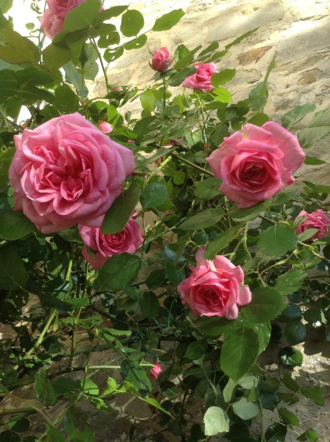 Fiesole In Giardino B&B מראה חיצוני תמונה