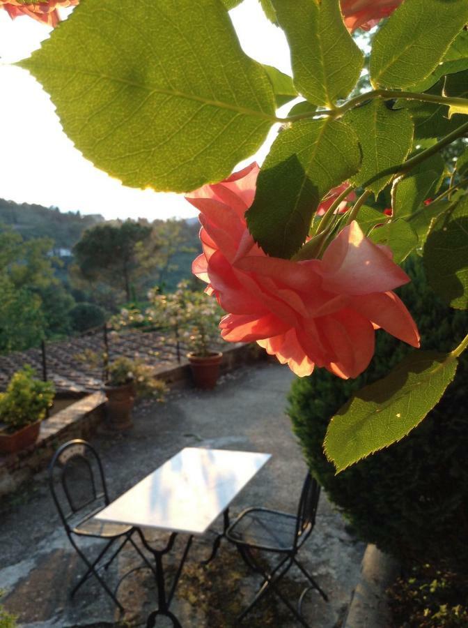 Fiesole In Giardino B&B מראה חיצוני תמונה